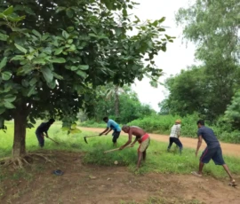 Farmer